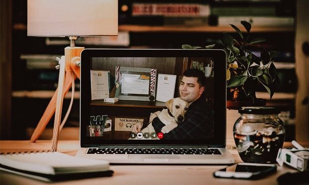 ნიკოლოზ წიკლაური_712.jpeg